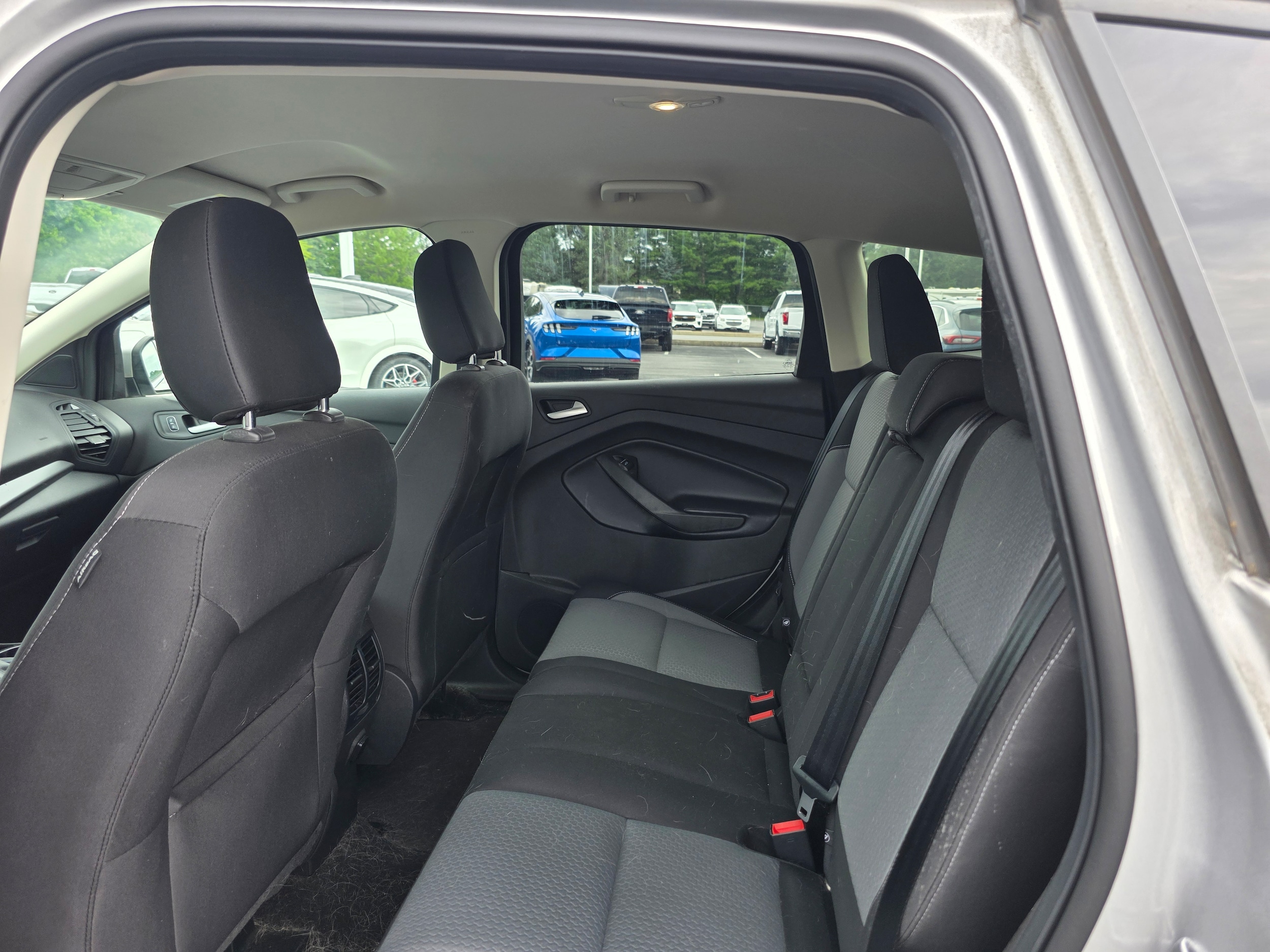 Photo 8