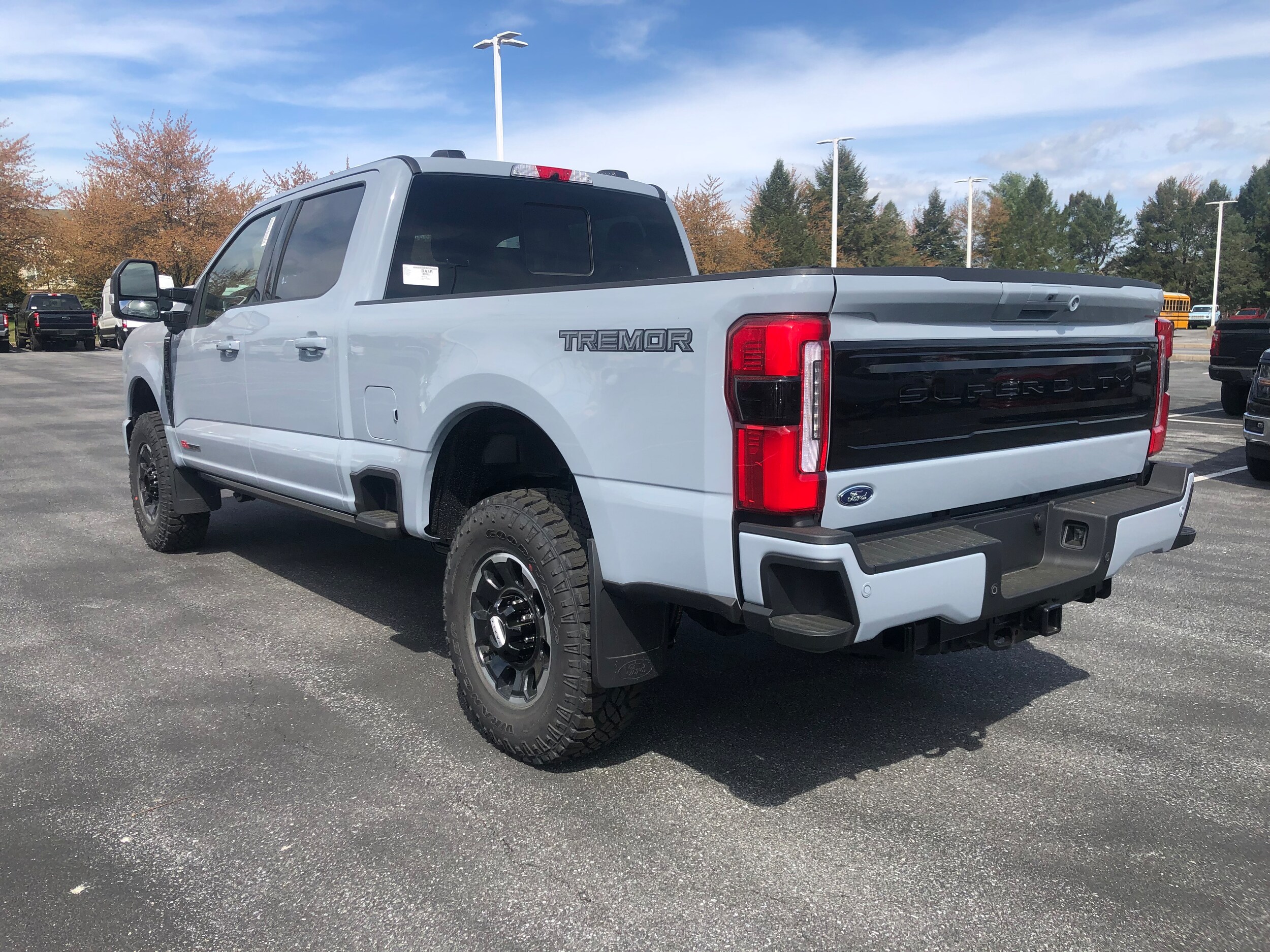 2025 Ford F-250 Platinum photo 3