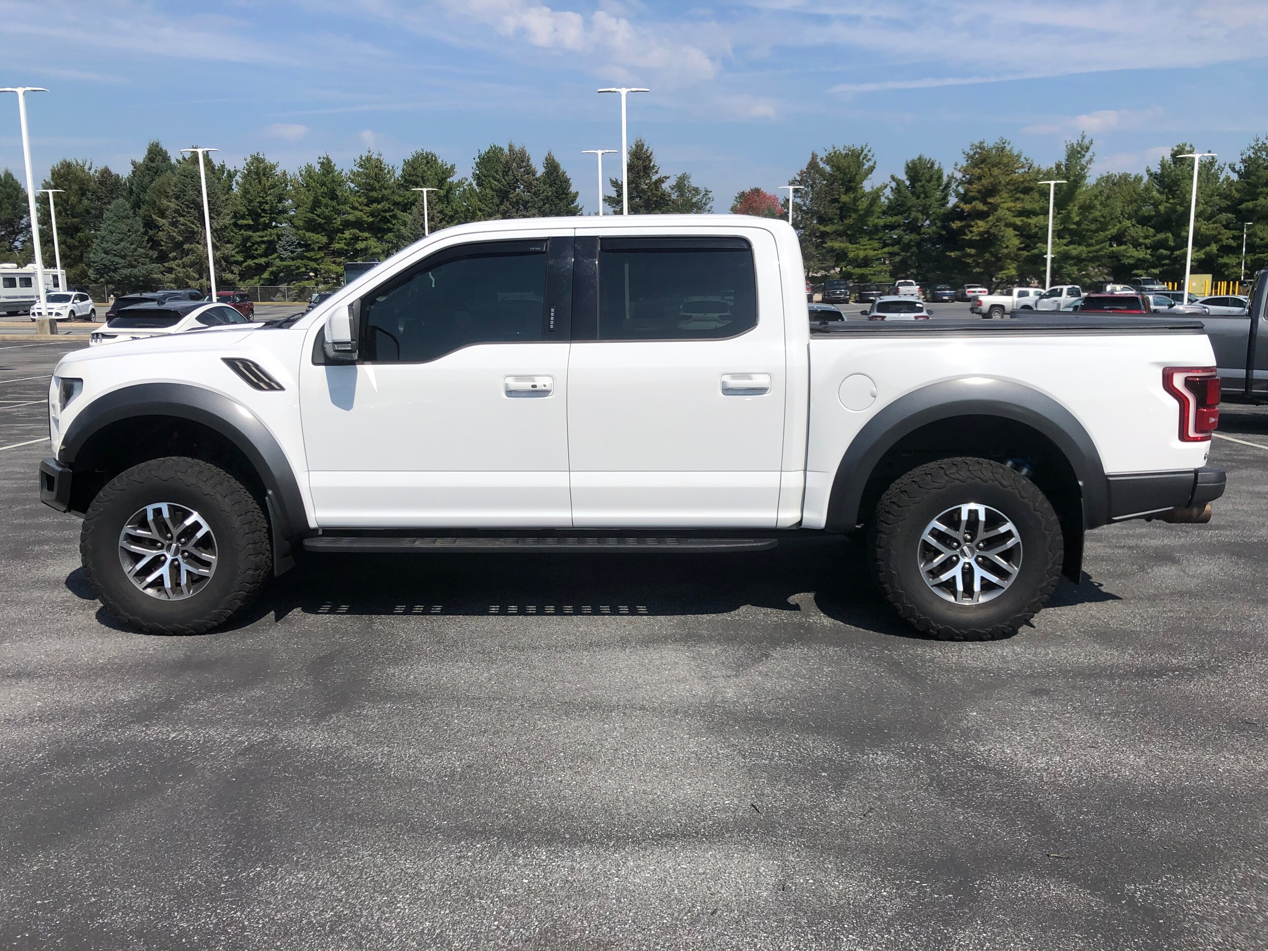 2017 Ford F-150 Raptor photo 2