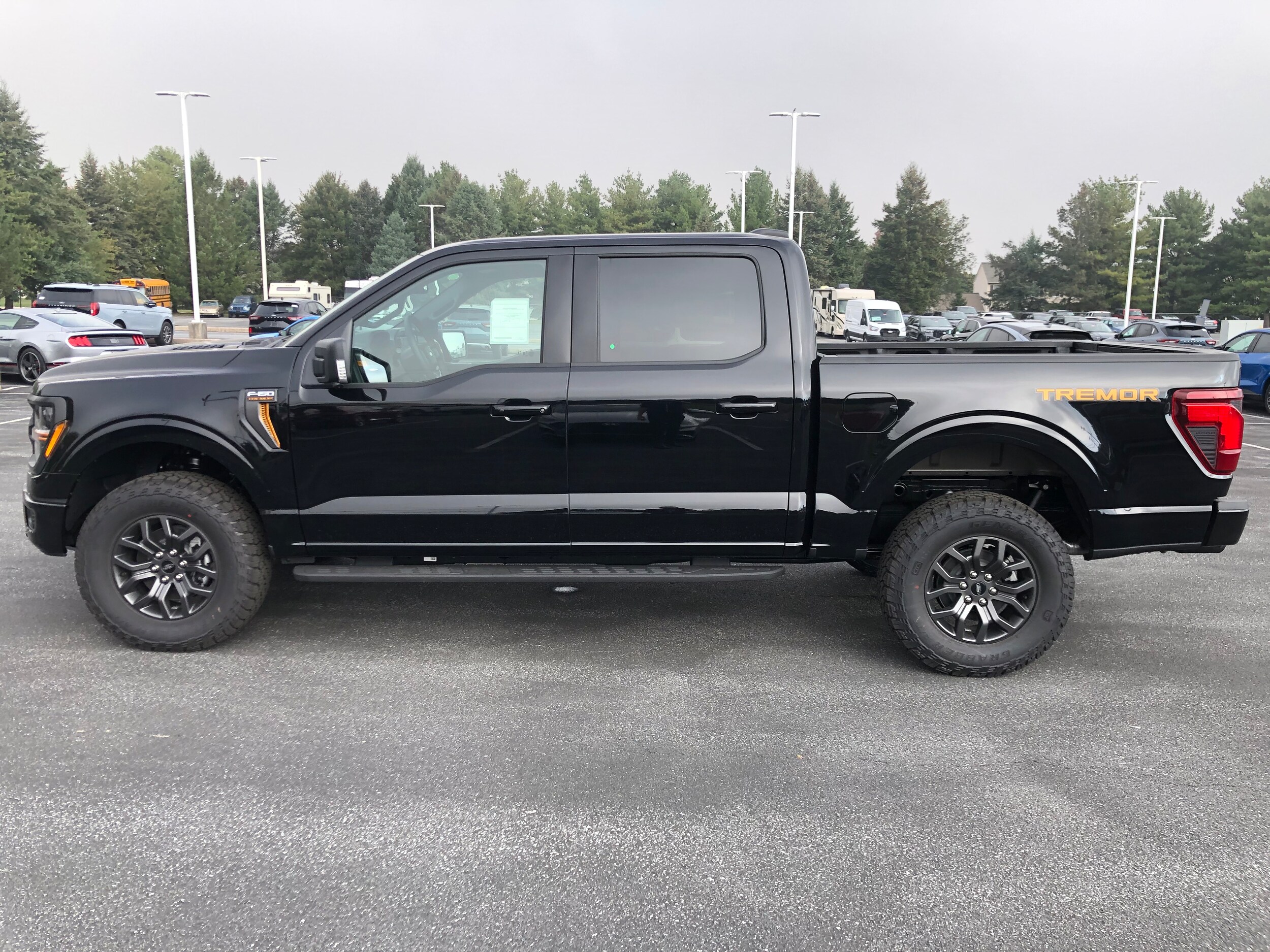 2025 Ford F-150 Tremor photo 2