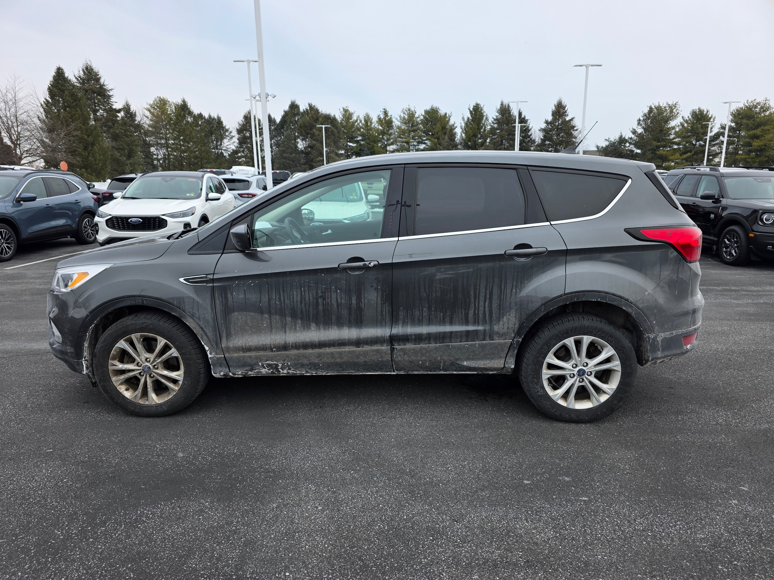 Certified 2019 Ford Escape SE with VIN 1FMCU9GD4KUB90603 for sale in Palmyra, PA