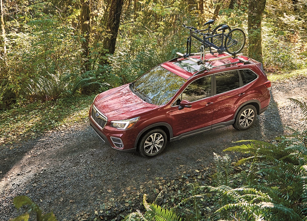 subaru forester 2019 bike rack