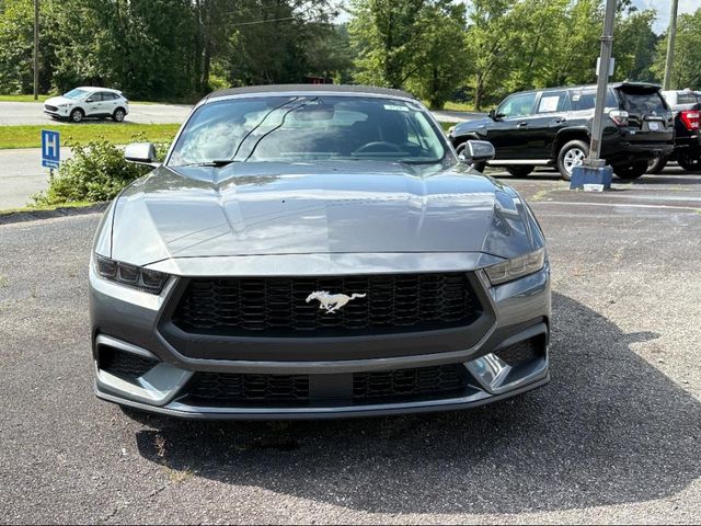 2025 Ford Mustang EcoBoost Convertible photo 2
