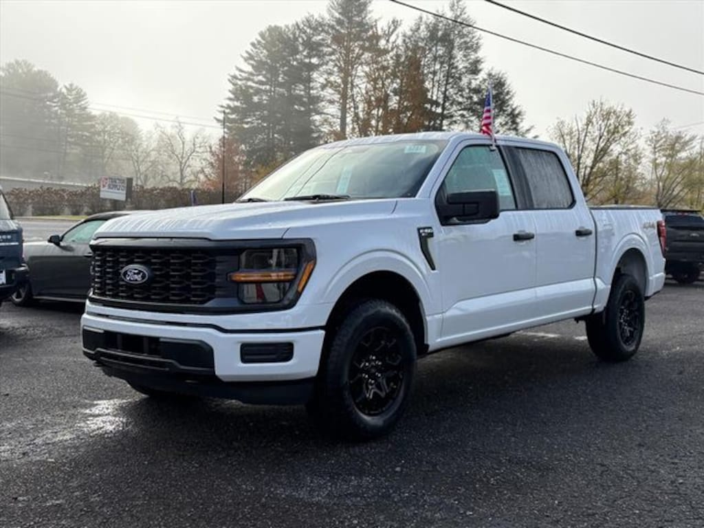 New 2025 Ford F-150 STX Truck