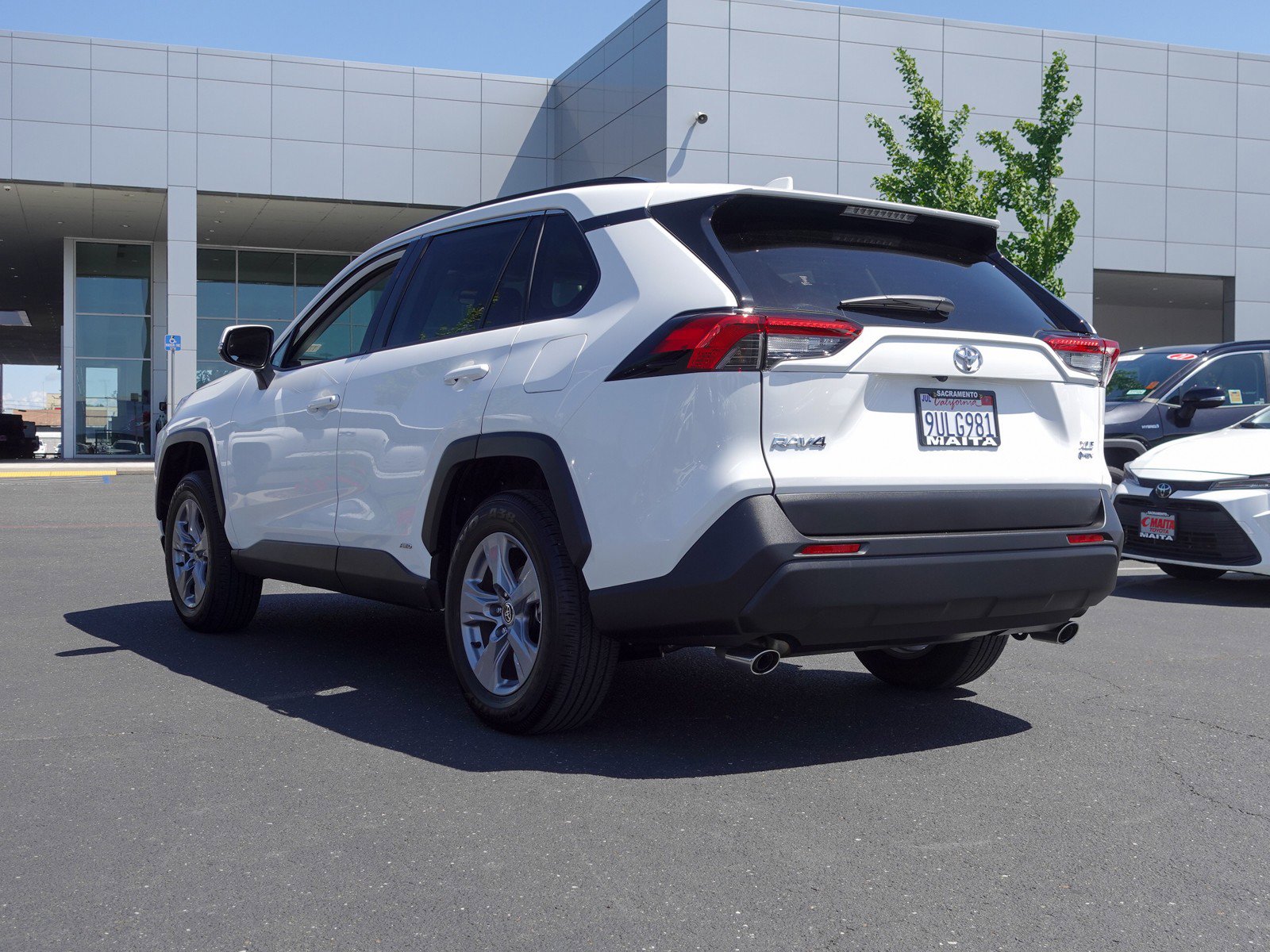 2025 Toyota RAV4 Hybrid XLE photo 5