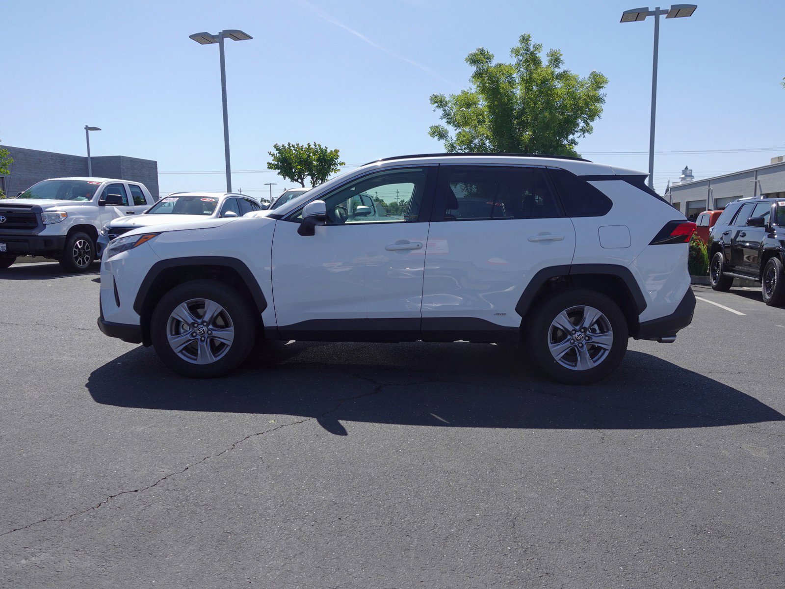 2025 Toyota RAV4 Hybrid XLE photo 6