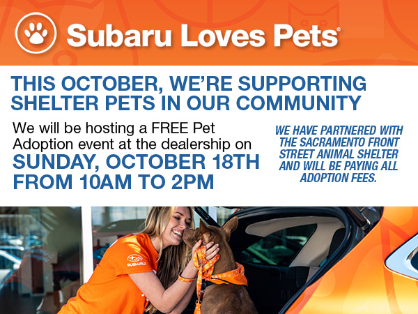 Campaign Subaru Loves Pets. Woman holding a dog