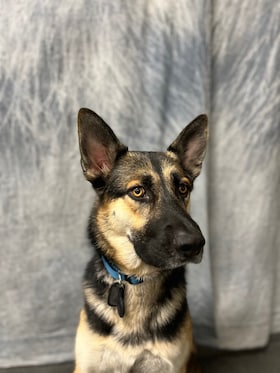 Staff member Goose from 9cc5e0c2f6df