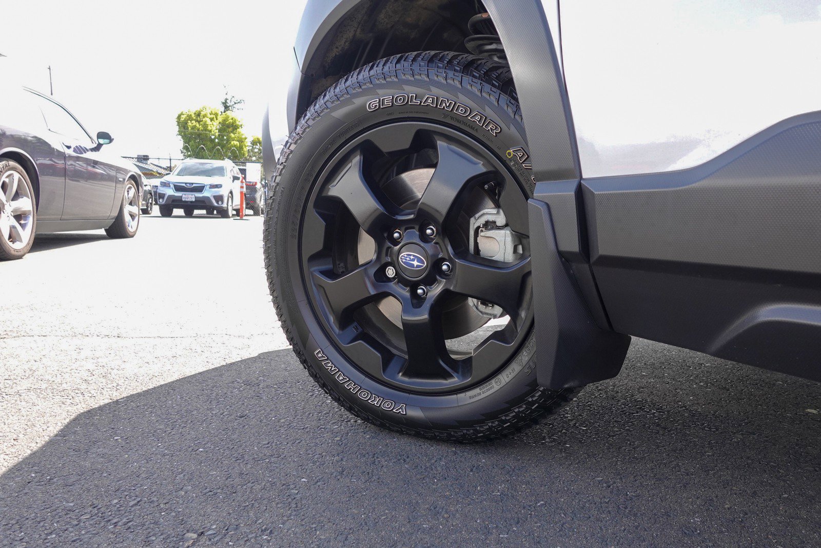 2023 Subaru Forester Wilderness photo 3