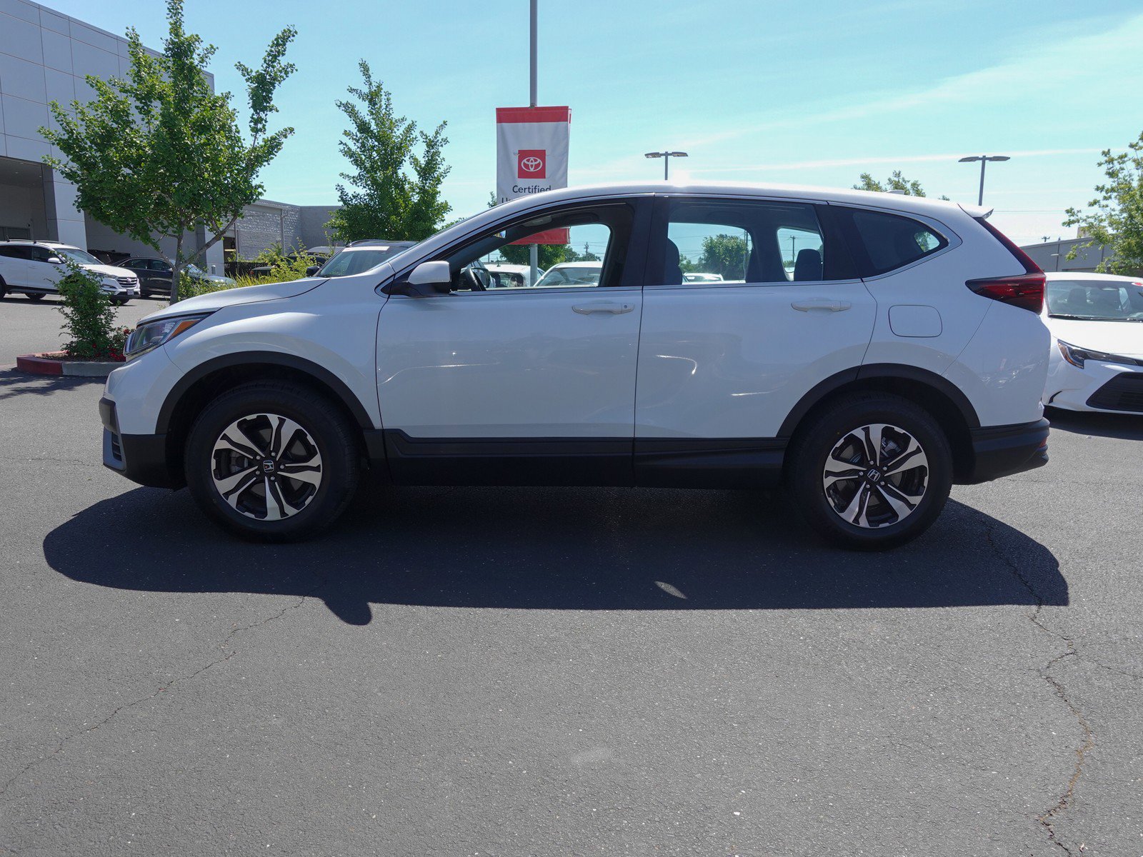 2021 Honda CR-V Special Edition photo 6