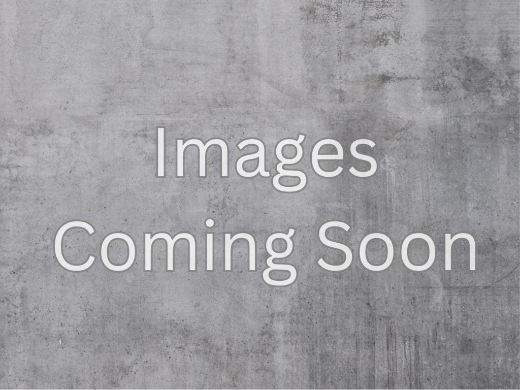 2020 Chevrolet Express 2500 Work Van HD's photo