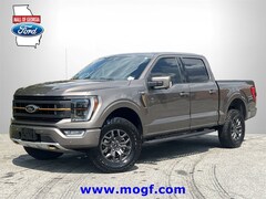 2022 Ford F-150 Tremor Truck