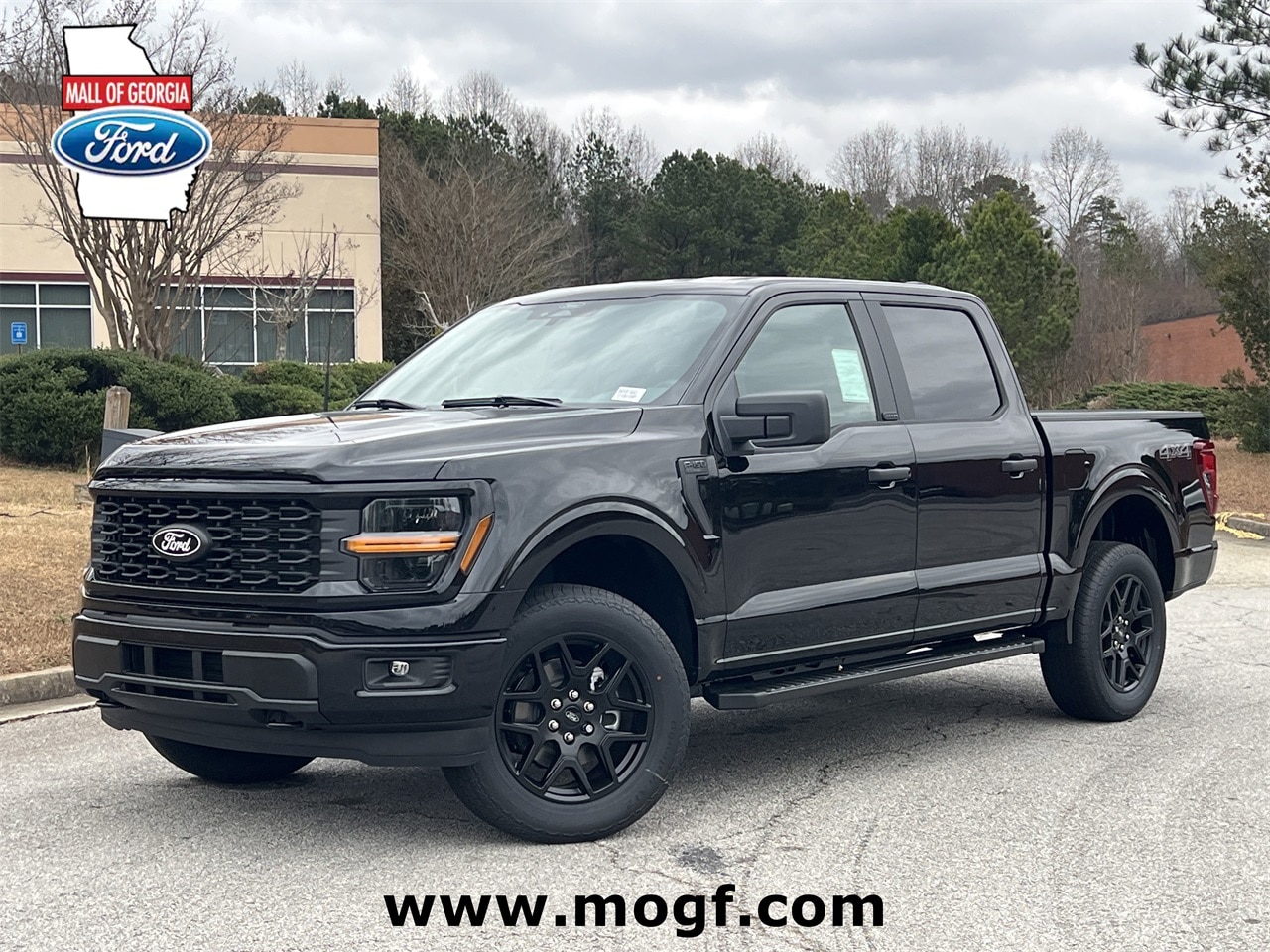 2025 Ford F-150 STX's photo
