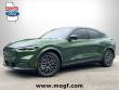  Ford Mustang Mach-E