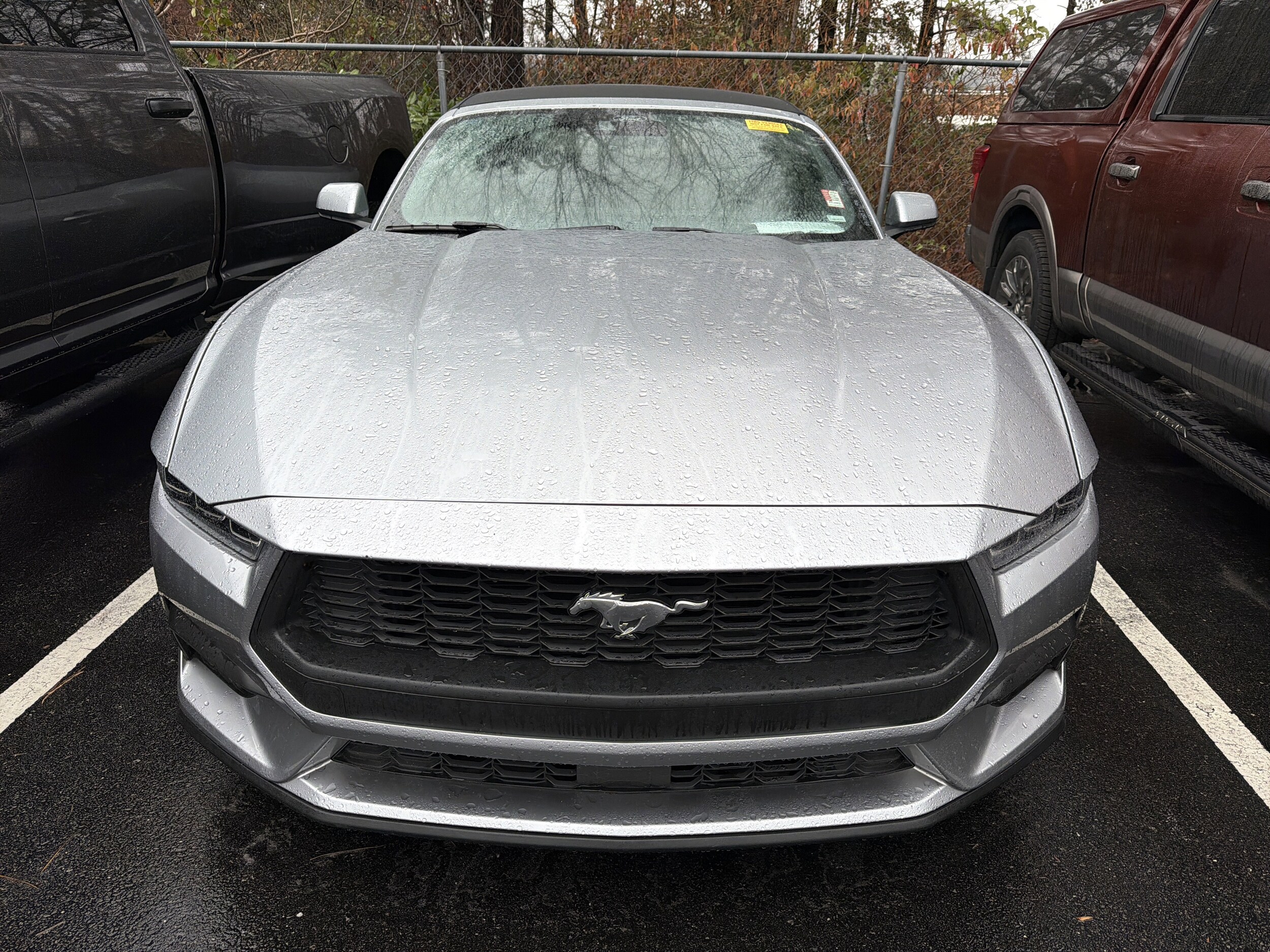 2024 Ford Mustang EcoBoost Premium photo 2