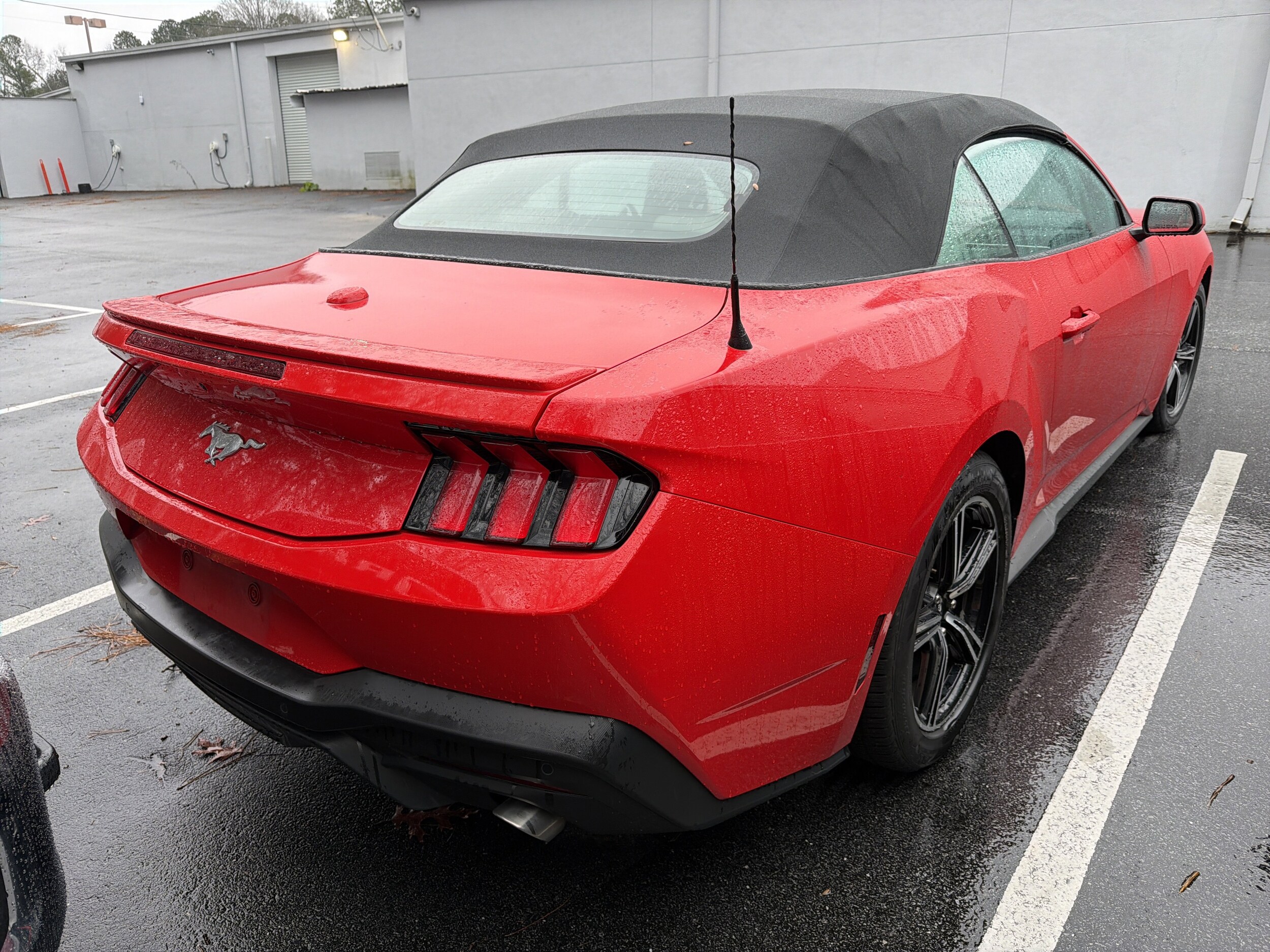 2024 Ford Mustang EcoBoost Premium photo 4
