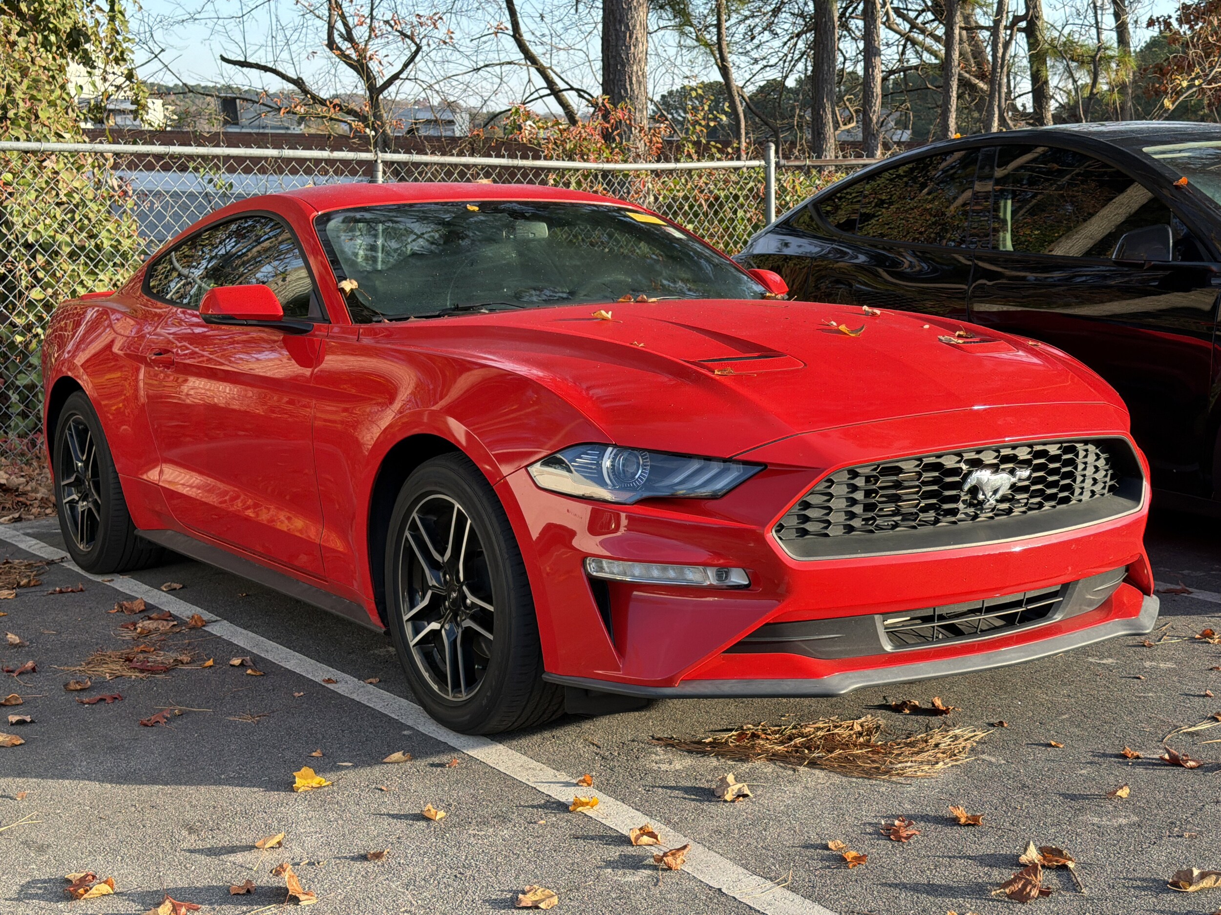 2019 Ford Mustang EcoBoost Premium photo 3