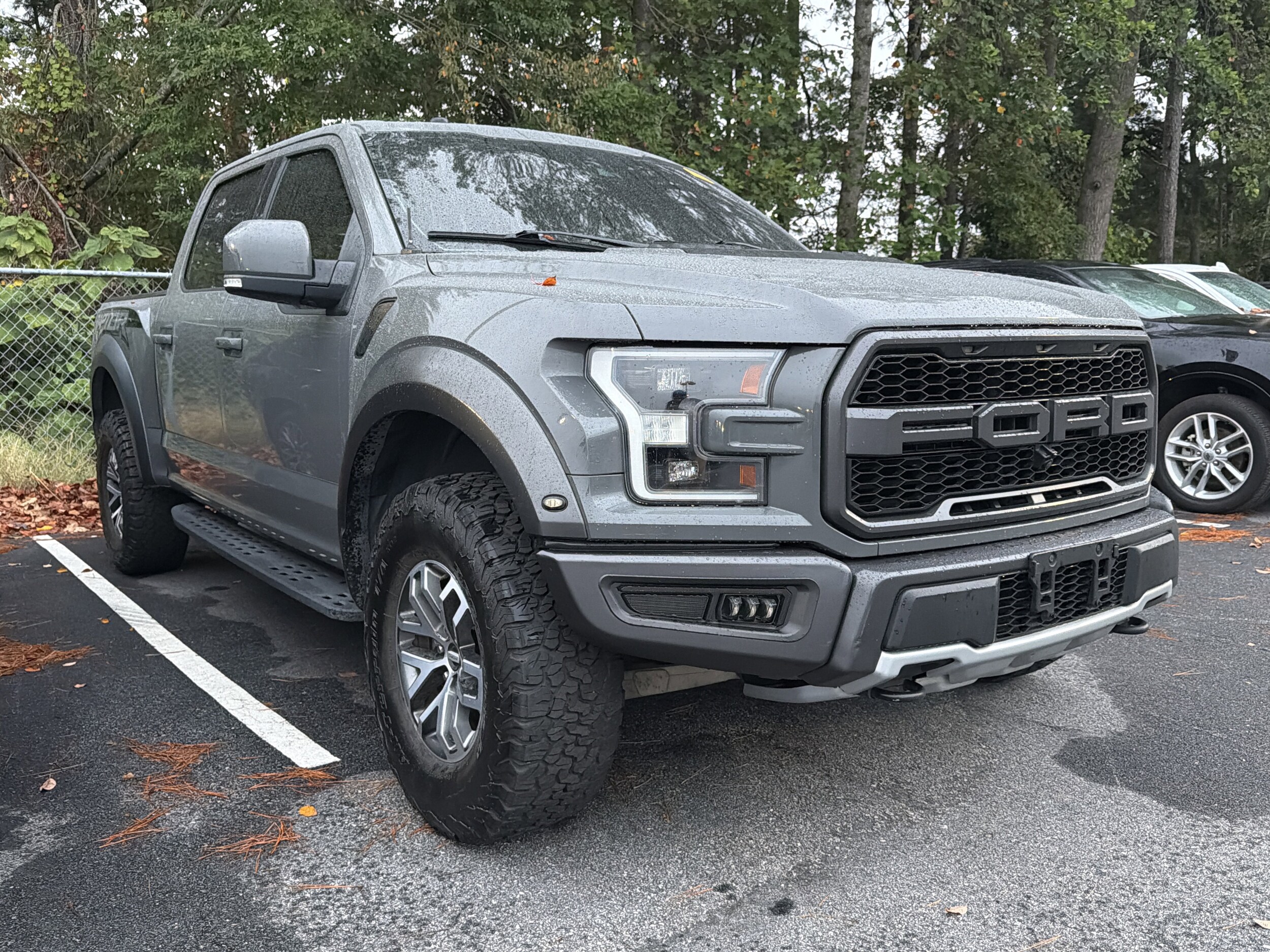 2018 Ford F-150 Raptor photo 4