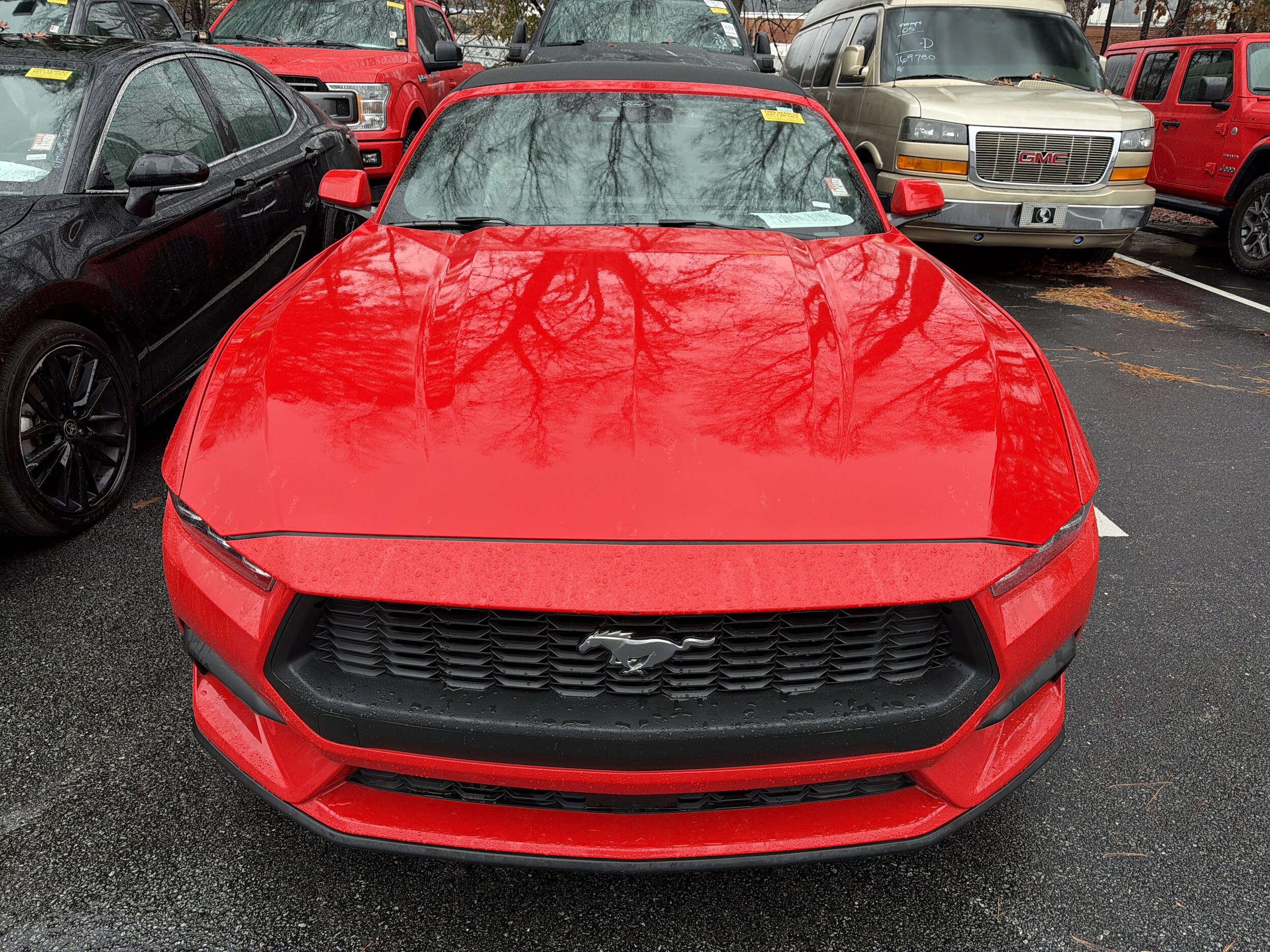 2024 Ford Mustang EcoBoost Premium photo 2