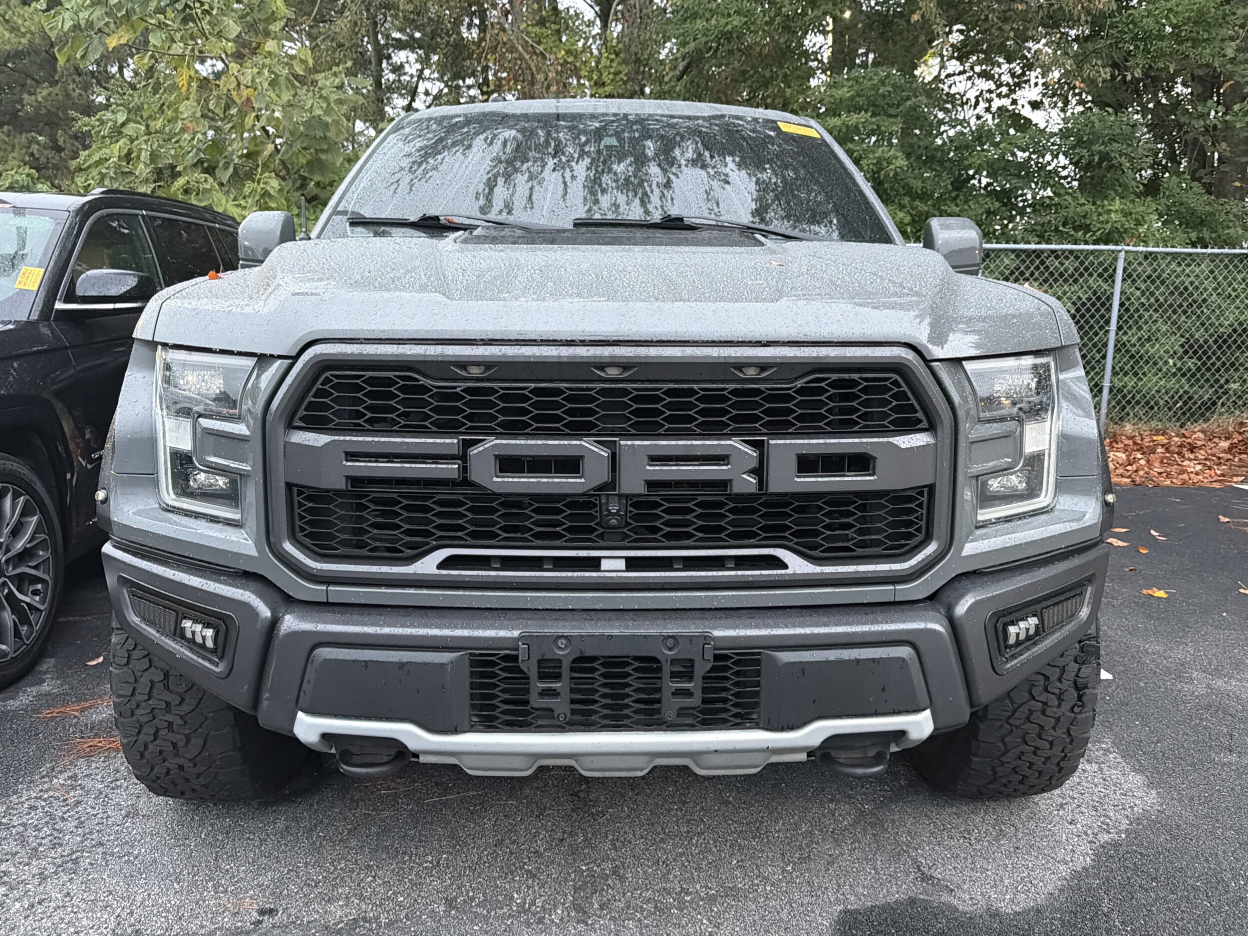 2018 Ford F-150 Raptor photo 3