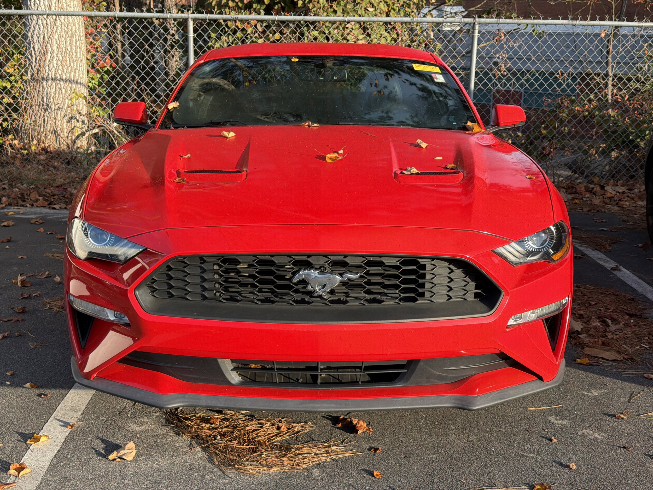 2019 Ford Mustang EcoBoost Premium photo 2