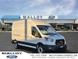 Ford Transit Cargo Van