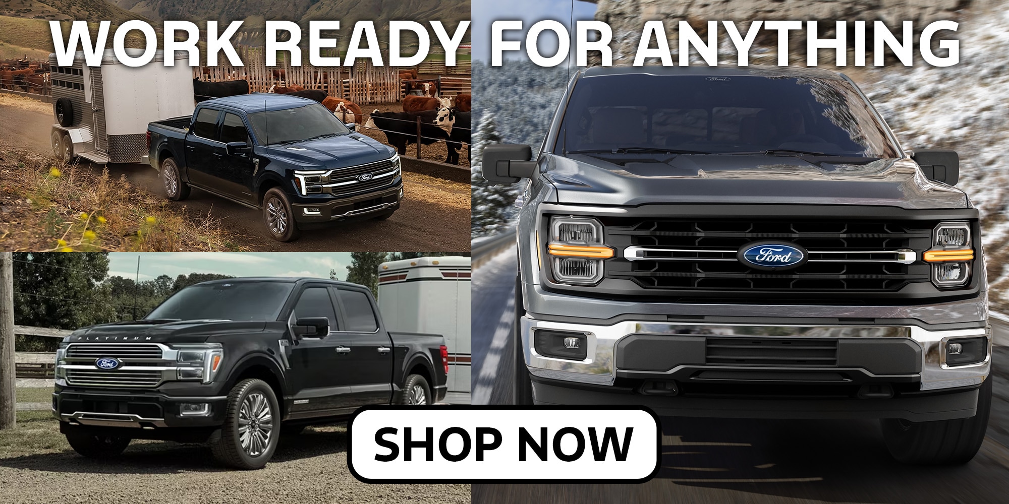 Where Should You Buy A Ford F-150 in Charlottesville, VA?
