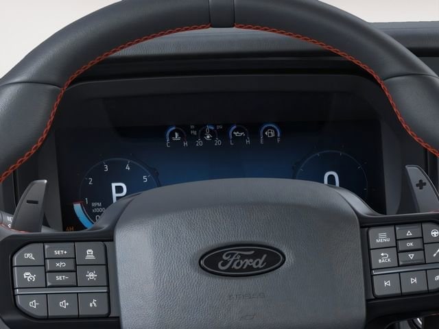 2025 Ford F-150 Raptor - Photo 13