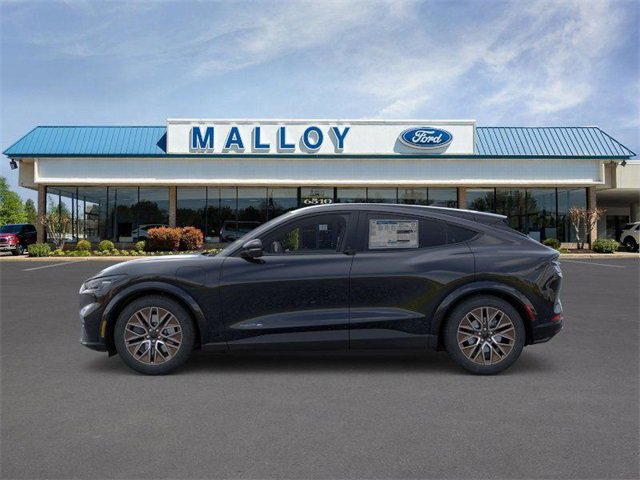 2025 Ford Mustang Mach-E Premium photo 3