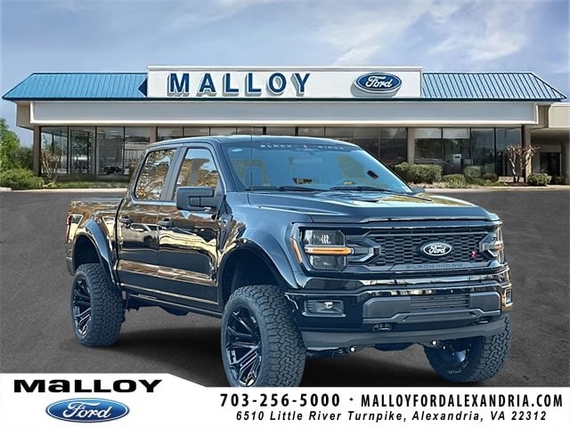 2025 Ford F-150 STX's photo