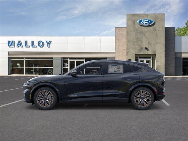 2025 Ford Mustang Mach-E Premium photo 3