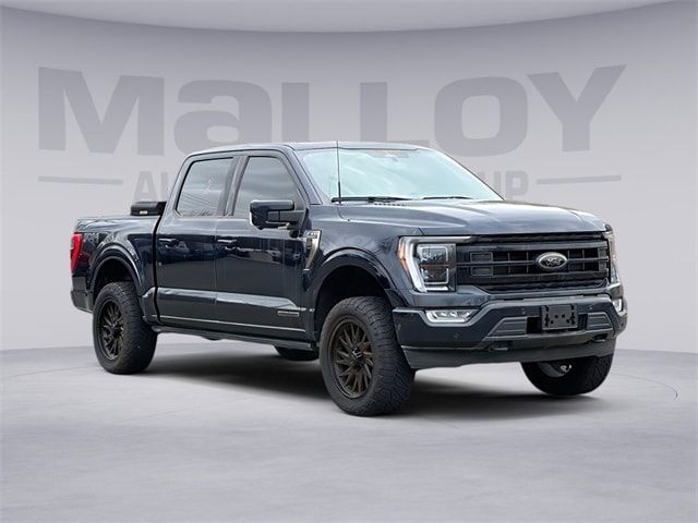2023 Ford F-150 Platinum's photo