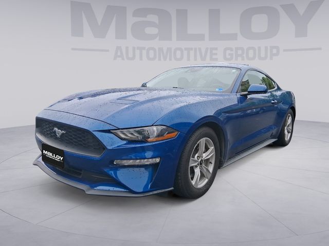 2022 Ford Mustang EcoBoost Coupe's photo
