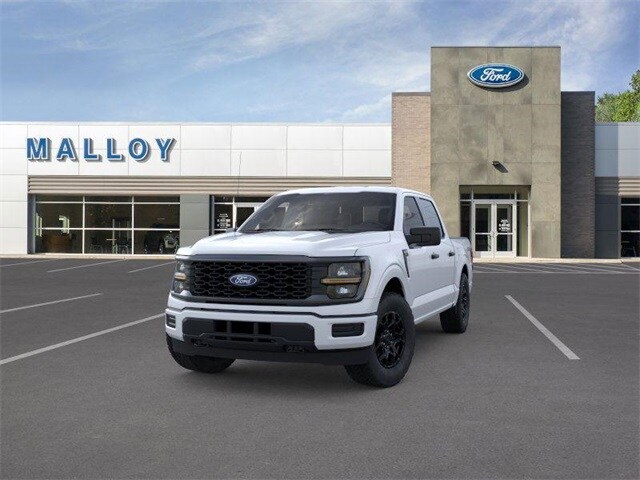 2025 Ford F-150 STX photo 3