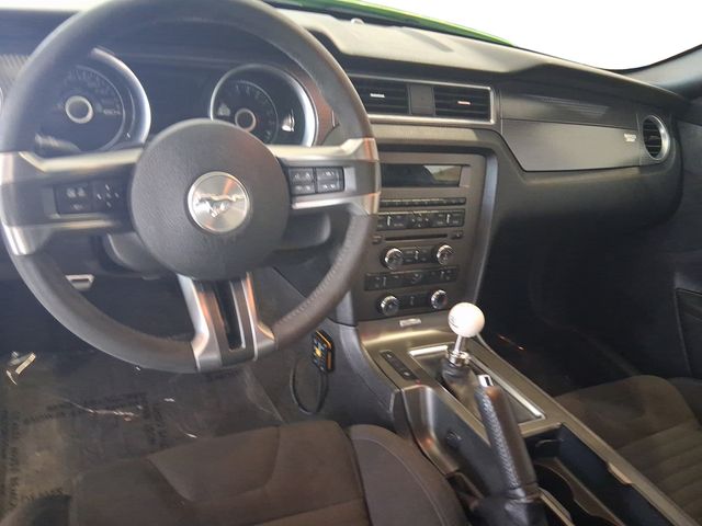Photo 12