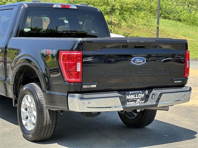 2023 Ford F-150 XLT photo 4