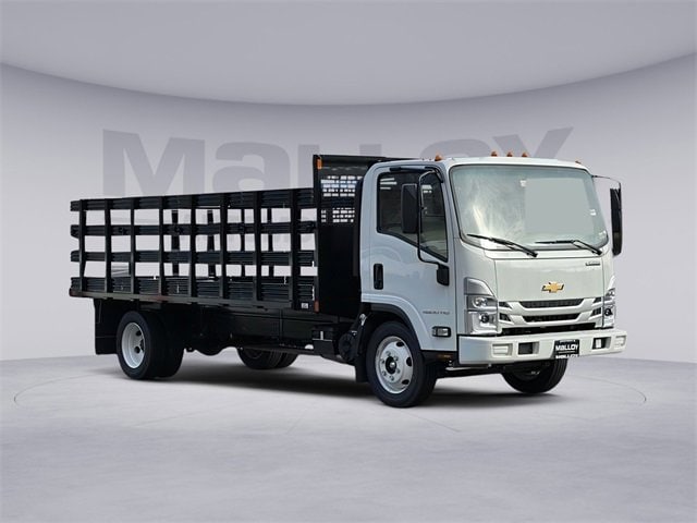 2024 Chevrolet Low Cab Forward Base's photo
