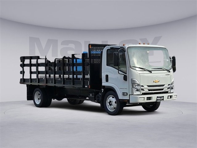 2024 Chevrolet Low Cab Forward Base's photo