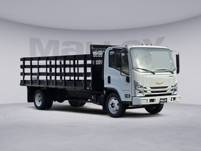 2024 Chevrolet Low Cab Forward 4500 Gas 176" WB Regular Cab's photo