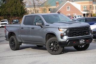 2025 Chevrolet Silverado 1500 Custom Trail Boss Truck Crew Cab