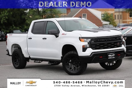 2024 Chevrolet Silverado 1500 Custom Trail Boss Truck Crew Cab