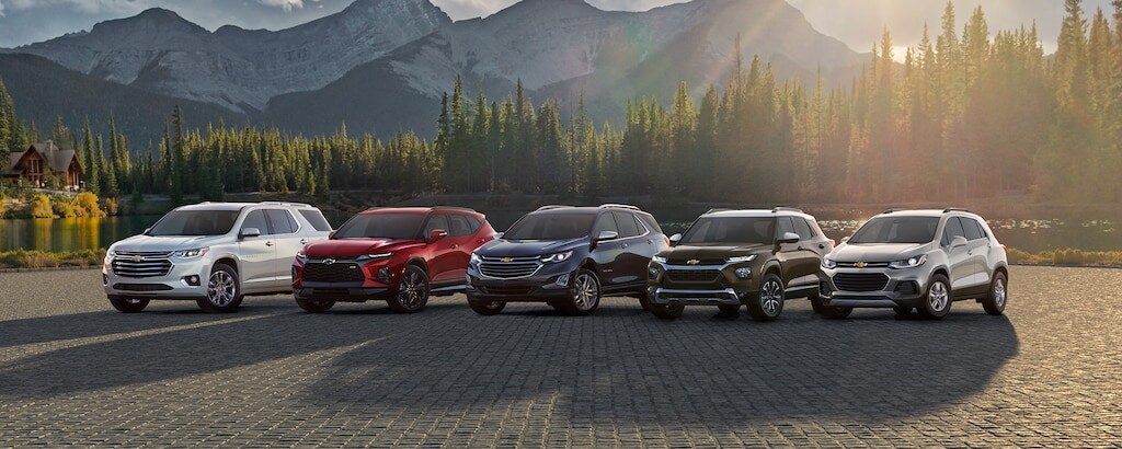 lineup