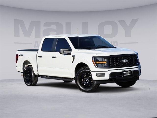 2025 Ford F-150 STX's photo