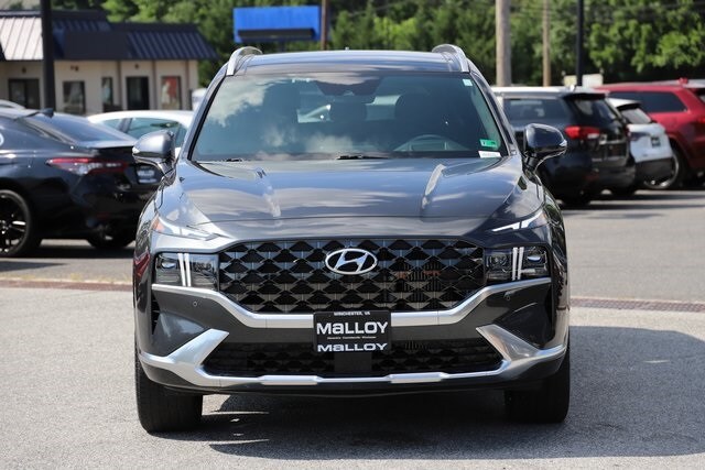 2023 Hyundai Santa Fe Calligraphy photo 3