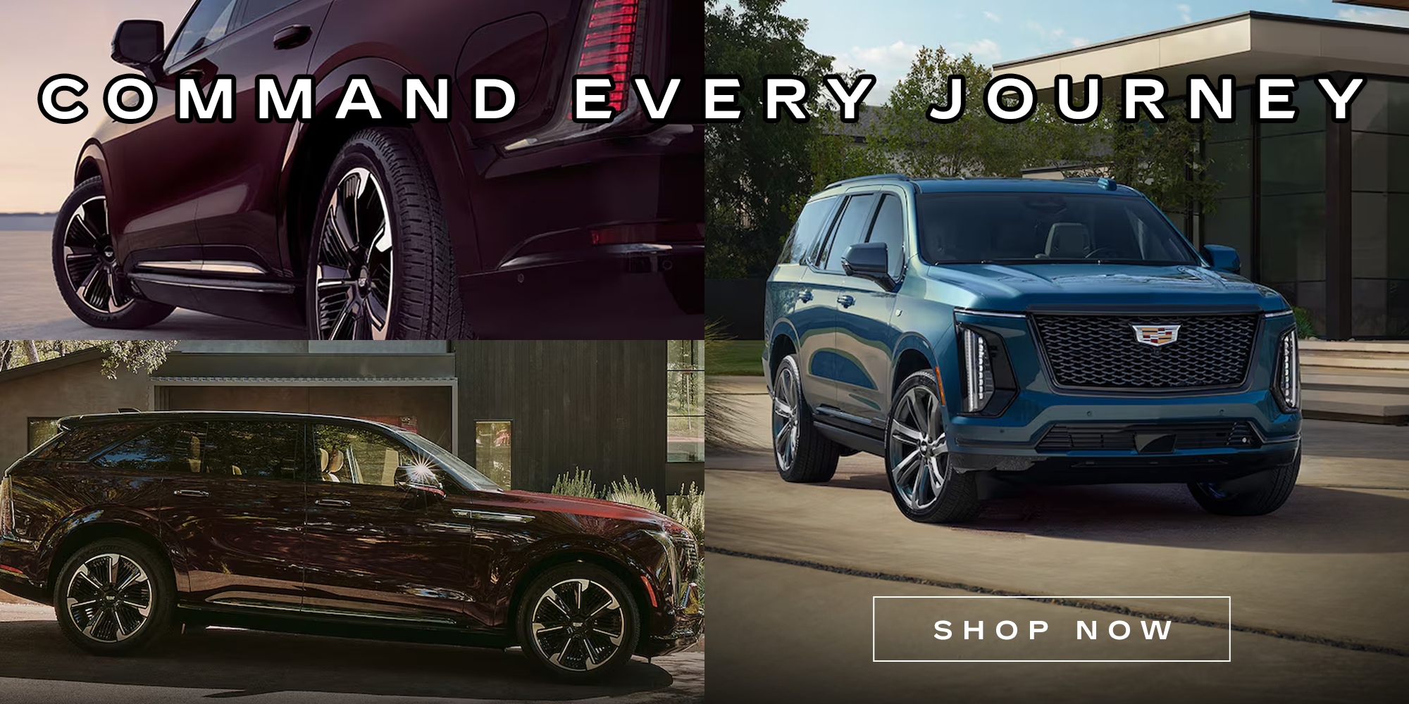 Where Should You Buy A Cadillac Escalade in Winchester?