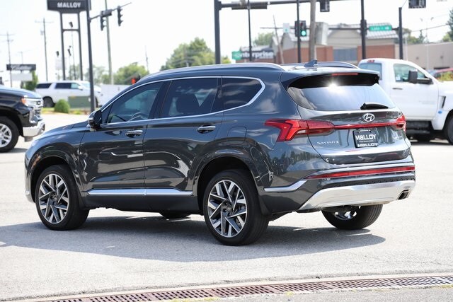 2023 Hyundai Santa Fe Calligraphy photo 4