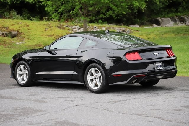 Certified 2021 Ford Mustang EcoBoost with VIN 1FA6P8TH9M5147339 for sale in Winchester, VA