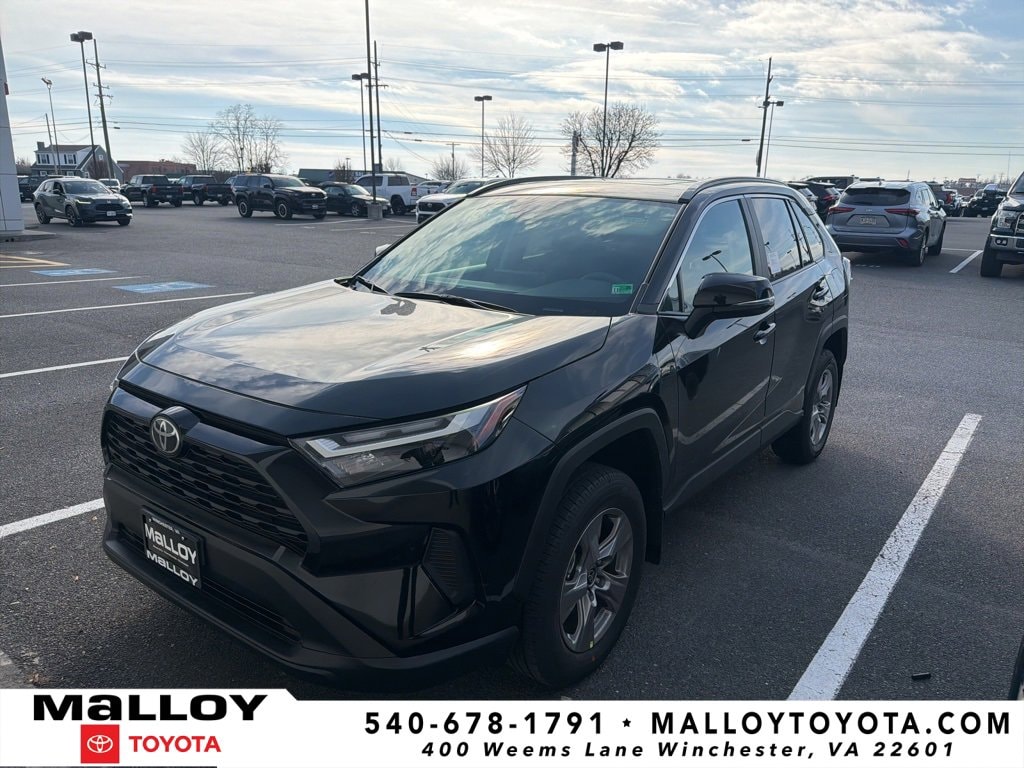 2025 Toyota RAV4 XLE's photo