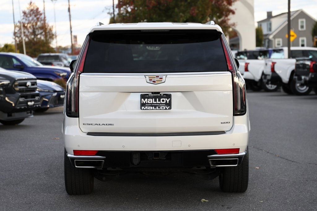 2024 Cadillac Escalade ESV Premium Luxury photo 3