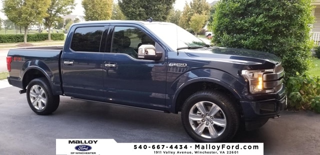 2020 Ford F-150 Platinum's photo